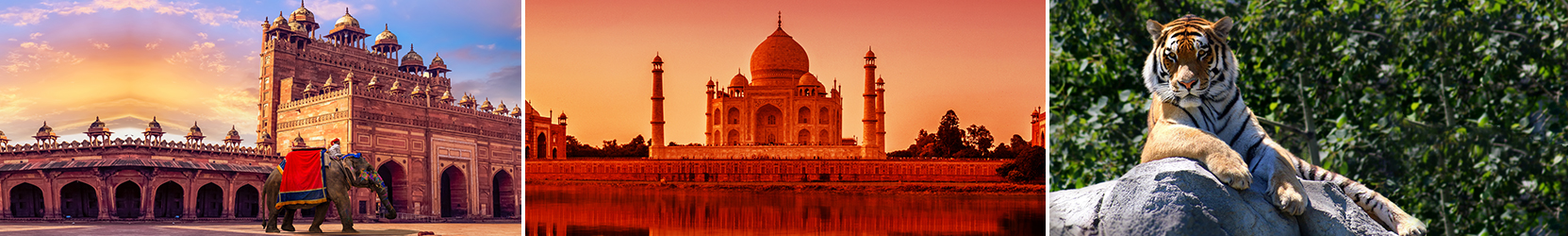 Luxury Golden Triangle & Goa beach stay - 9 Nights