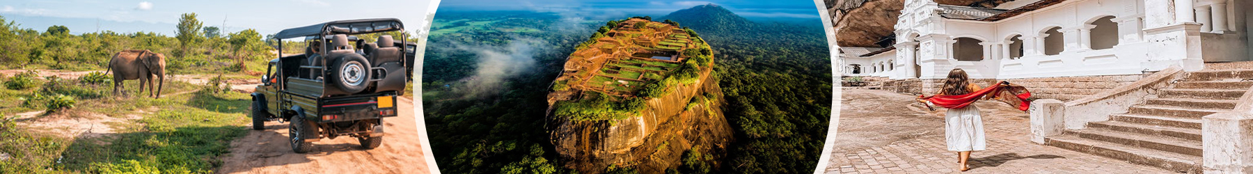 Sri Lanka Solo Group Travel Special - 9 Nights